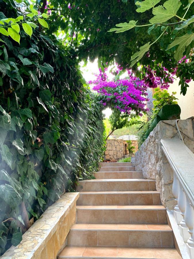 Apartments Villa Ra Жаборич Экстерьер фото